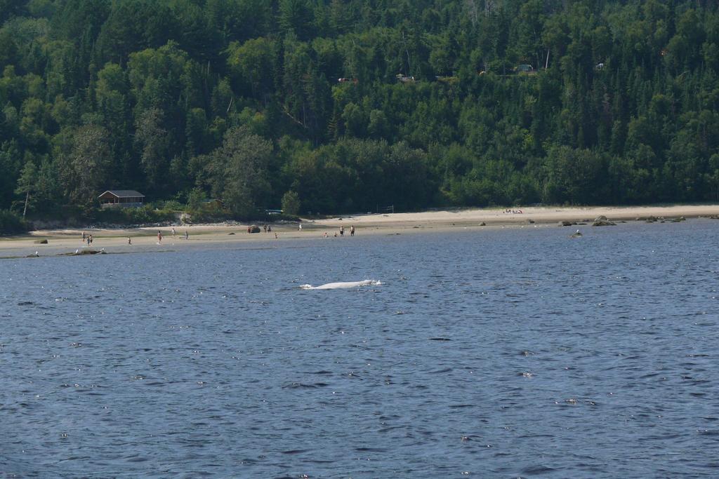 Villa Rivière Petit Saguenay Esterno foto