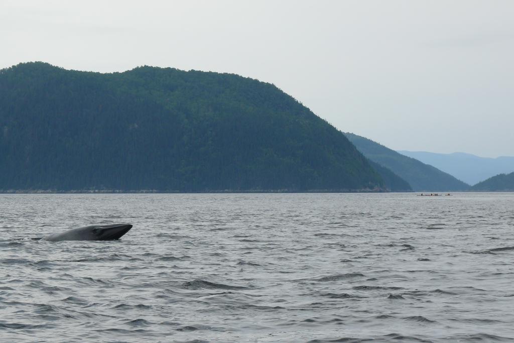 Villa Rivière Petit Saguenay Esterno foto